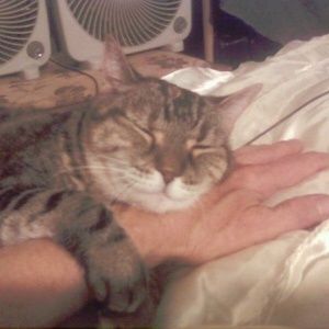 Meet your Posher, Bob